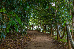 ilhaAnchieta_0024_30122023