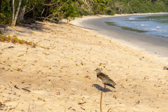 ilhaAnchieta_0035_30122023