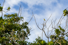ilhaAnchieta_0038_30122023