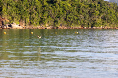 ilhaAnchieta_0045_30122023