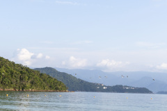 ilhaAnchieta_0053_30122023