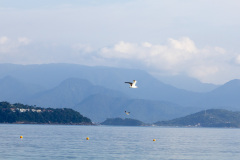 ilhaAnchieta_0054_30122023