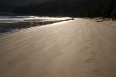 ilhaAnchieta_0067_30122023