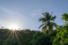 ilhaAnchieta_0072_30122023