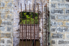 ilhaAnchieta_0098_30122023