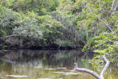 ilhaAnchieta_0187_31122023