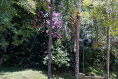 jsBotanicoJundiai_0020_22012024