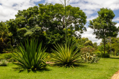 jsBotanicoJundiai_0026_22012024