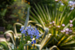 jsBotanicoJundiai_0029_22012024