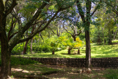 jsBotanicoJundiai_0031_22012024