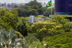 jsBotanicoJundiai_0036_22012024