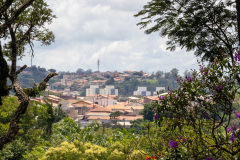 jsBotanicoJundiai_0038_22012024