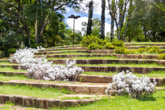 jsBotanicoJundiai_0048_22012024
