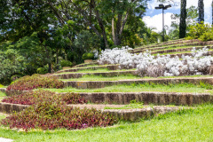 jsBotanicoJundiai_0049_22012024