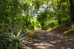 jsBotanicoJundiai_0051_22012024