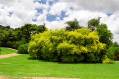 jsBotanicoJundiai_0078_22012024
