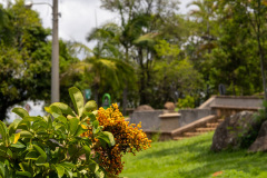 jsBotanicoJundiai_0081_22012024