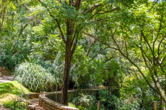 jsBotanicoJundiai_0087_22012024
