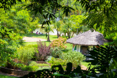 jsBotanicoJundiai_0089_22012024