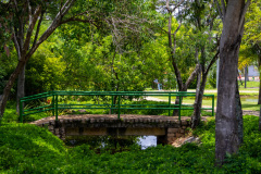 jsBotanicoJundiai_0096_22012024