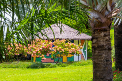 jsBotanicoJundiai_0097_22012024