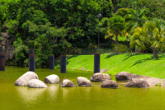 jsBotanicoJundiai_0100_22012024