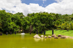 jsBotanicoJundiai_0101_22012024